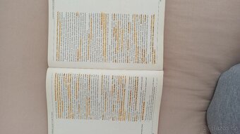 Panorama české literatury - 2