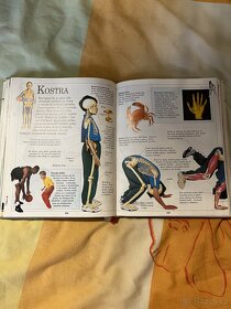 Velká dětská encyklopedie - 2