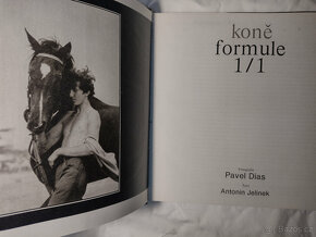 Koně formule 1/1 - 2