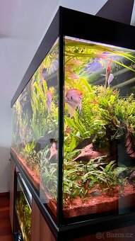 Akvarium 600l - 2