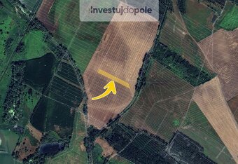 Prodej pole v k.ú. Dubňany - 2