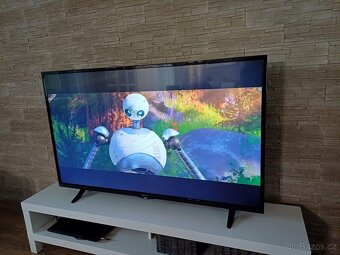 Televize GoGEN TVF 55P269T - 2