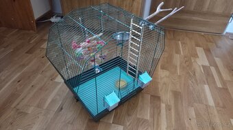 Klec pro papouška - 2