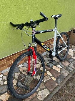 Horské kolo Team Replic B1 - 2