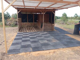 Pastevní ustájení 24/7 - 2