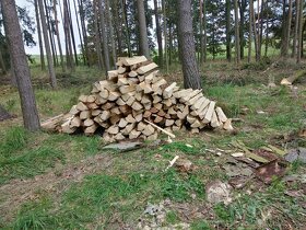 Palivové dřevo měkké - 2