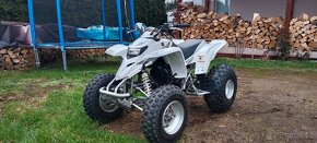 Yamaha YFS 200 Blaster - 2
