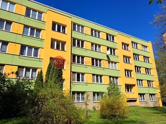 Prodej, byt 2+1, J. Plachty, 49 m2, České Budějovice - 2