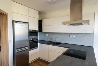 Pronajmu byt 3+kk - Velké Bílovice - 2