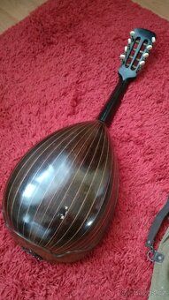 Mandolina nalezový stav - 2