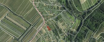 Hustopeče u Brna (1 387 m2) - 2