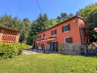 Toskánsko – stylový kamenný dům s bazénem a olivovým hájem - 2