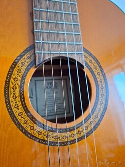 Kytara Pro Arte CG-150 - 2