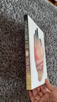 Žít v přítomnosti Enza Vita - 2