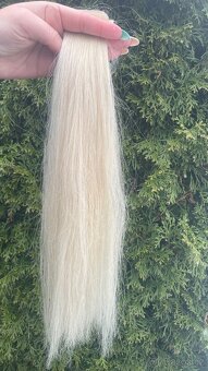 Středoevropské vlasové pasky - 2