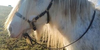 Multifunkční uzdečka s odepínacím udidlem - 2