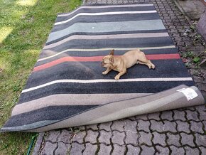 Koberec Radiance 2x3 m - 2