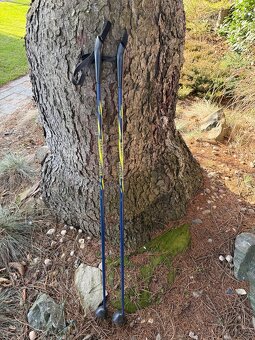 Hůlky na běžky Junior vel 120 - 2