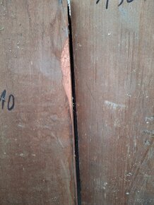 kanadská třešeň - 2