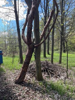 Rozcestnik - 2
