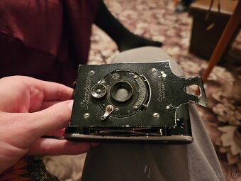 Piccolette Contessa - 2