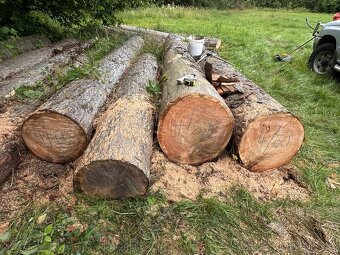 kulatina modřín - 2