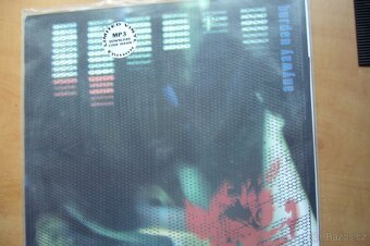ANYWAY - Burden LP - 2