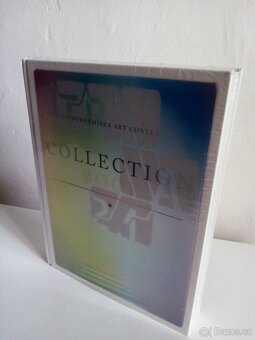 The collection book / Thyssen Bornemisza Art Contemporary - 2