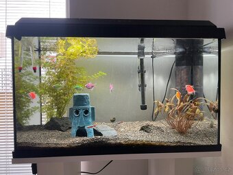 Akvárium + komplet příslušenství - 2
