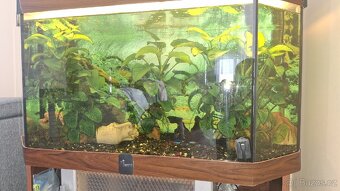 Prodám akvárium diversa 180l - 2