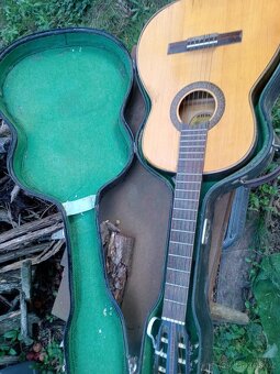 Kytara s pouzdrem - 2