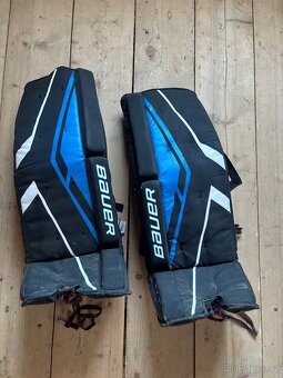 Betony Bauer sr - 2