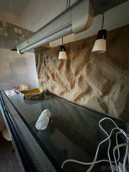 Terárium se 3D stěnou 100x45x50 - 2