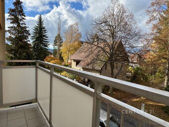 Pronájem bytu 3+1/B, po kompletní rekonstrukci, Vodňanská ul - 2