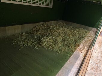 Prodám terárium - 2