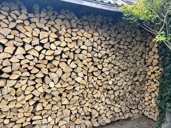 Palivové dřevo (tvrdé) - 2