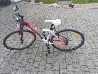 Dívčí kolo Author - 2