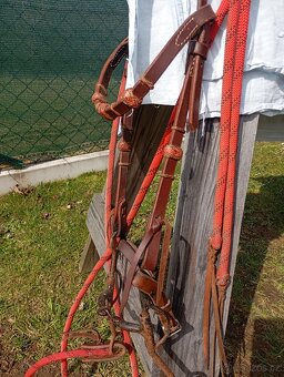 Uzdečka westernová s pakou a otezemi - 2