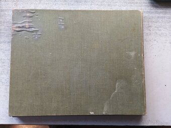 Handbuch Děr Anatomie Děr Tiere für Kustler - 2