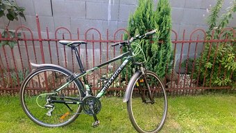 Maxbike Cavalla - 2