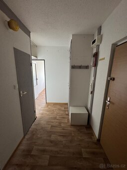 Nájem bytu 2+1 - 2