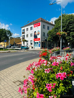 -----   ČIŽOVNÍ DŮM V BÍLINĚ    ----- - 2