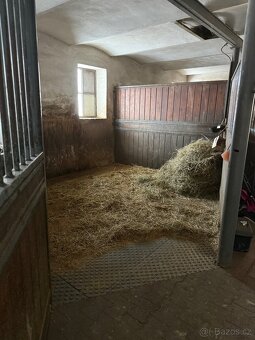 Ustájení koní - box - 2