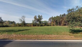 Les, prodej, Luženice, Luženičky, Domažlice - 2