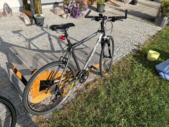 2 kola Dema Esperia a Imperia - 2