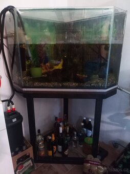 Rohové akvarium - 2