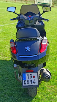 Peugeot Satelis 250 - 2