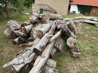 Ořech -dřevo na topení - 2