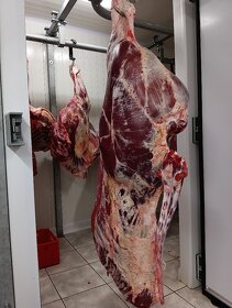 Hovězí maso - 2