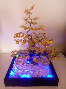 Bonsai - 2